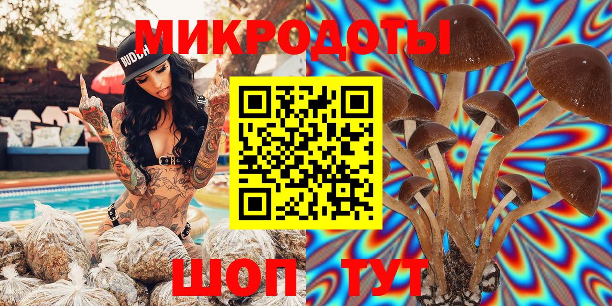 Галлюциногенные грибы Cubensis Киржач